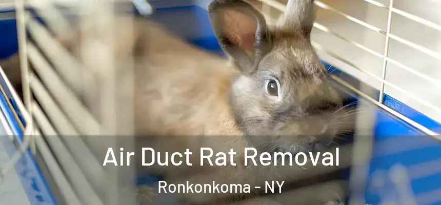 Air Duct Rat Removal Ronkonkoma - NY