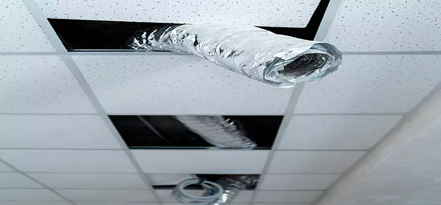 Affordable HVAC Sanitizing After Pest Removal in Ronkonkoma