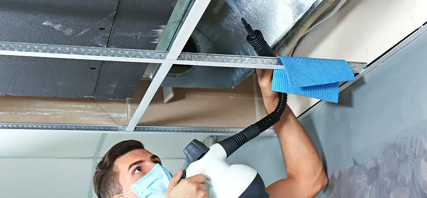 Our Air Duct Rodent Removal Services in Ronkonkoma, NY
