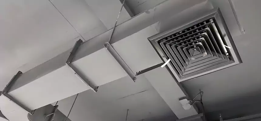 Restorative Allergy Relief Vent Cleaning – Coil, Blower & Housing Detail in Ronkonkoma