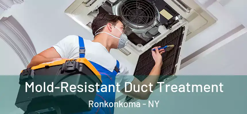 Mold-Resistant Duct Treatment Ronkonkoma - NY