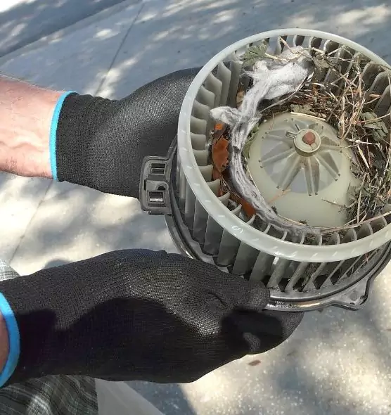 About Air Duct Mice Removal in Ronkonkoma, NY