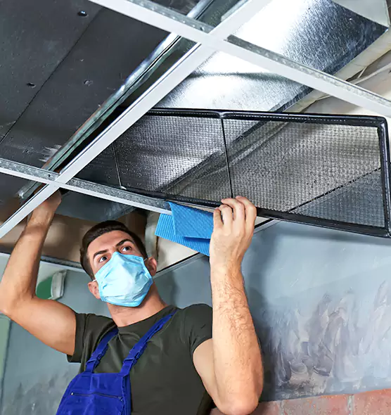 Professional Air Duct Pollen Cleaning in Ronkonkoma, NY