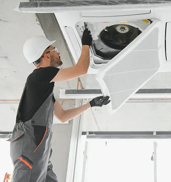 About Air Duct Rodent Removal in Ronkonkoma, NY