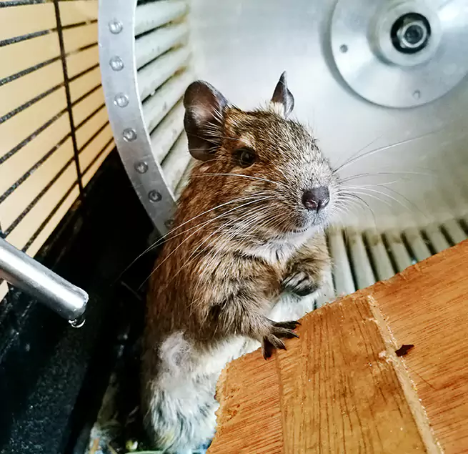 Why Homeowners & Businesses Trust Us Ronkonkoma, NY